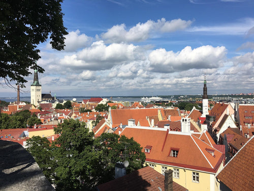Our CEO to Share Insights on Estonia’s e-Residency Program